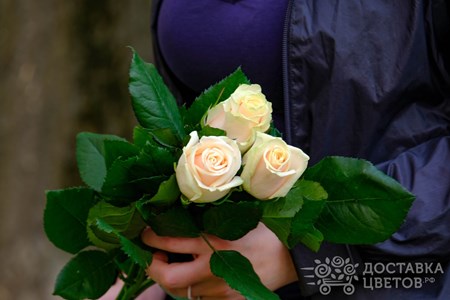 Букет из 3 кремовых роз "Талея"